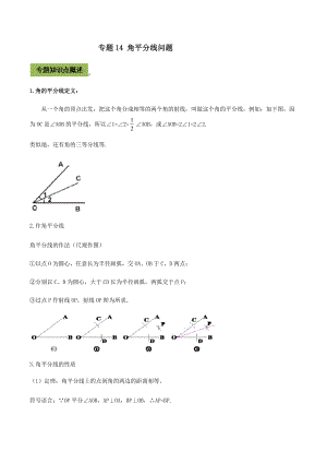 中考数学点对点突破复习特色专题-专题14 角平分线问题（解析版）