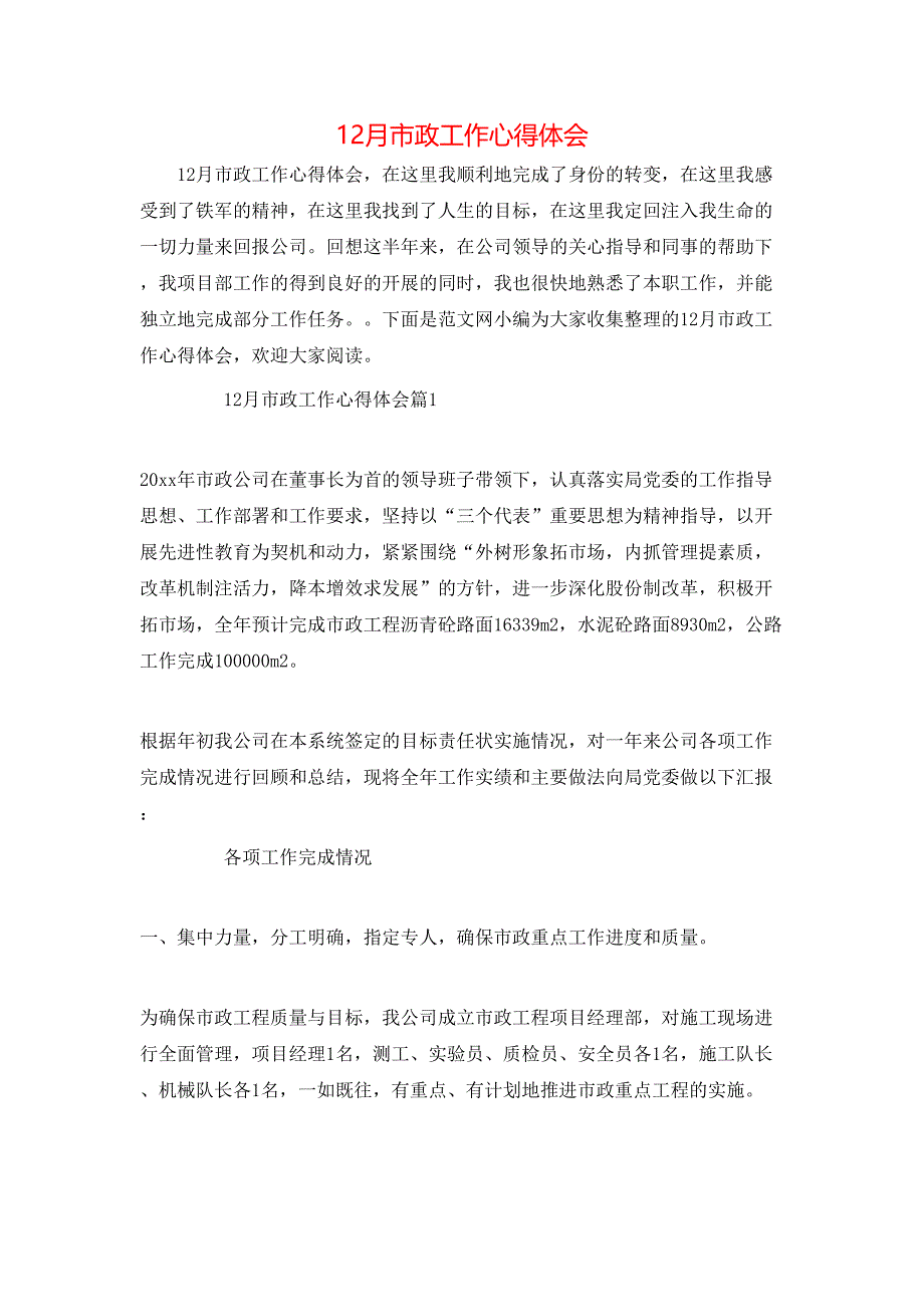 （精选）12月市政工作心得体会_第1页