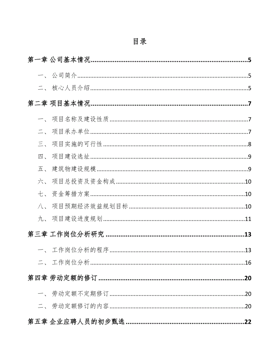 钛合金项目人力资源实施计划_第2页