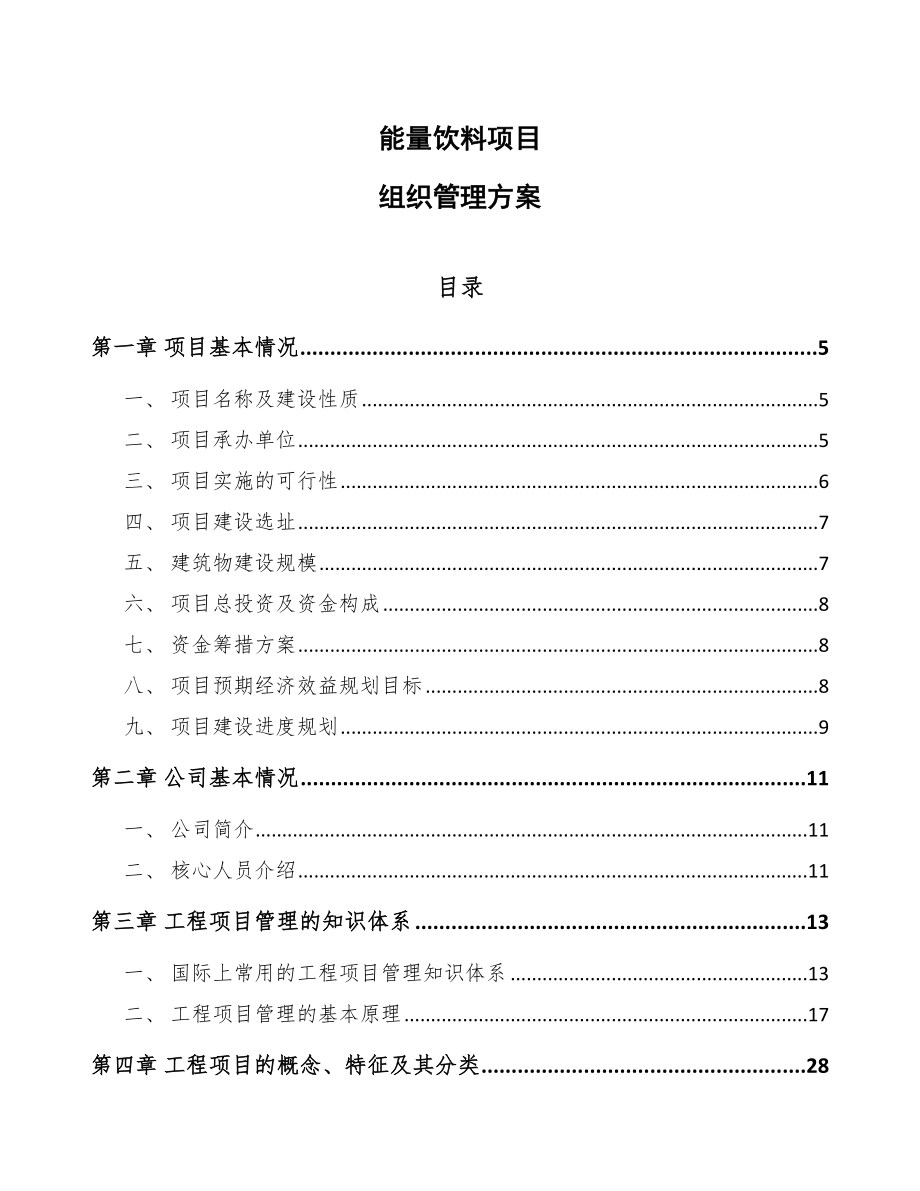 能量饮料项目组织管理方案_第1页