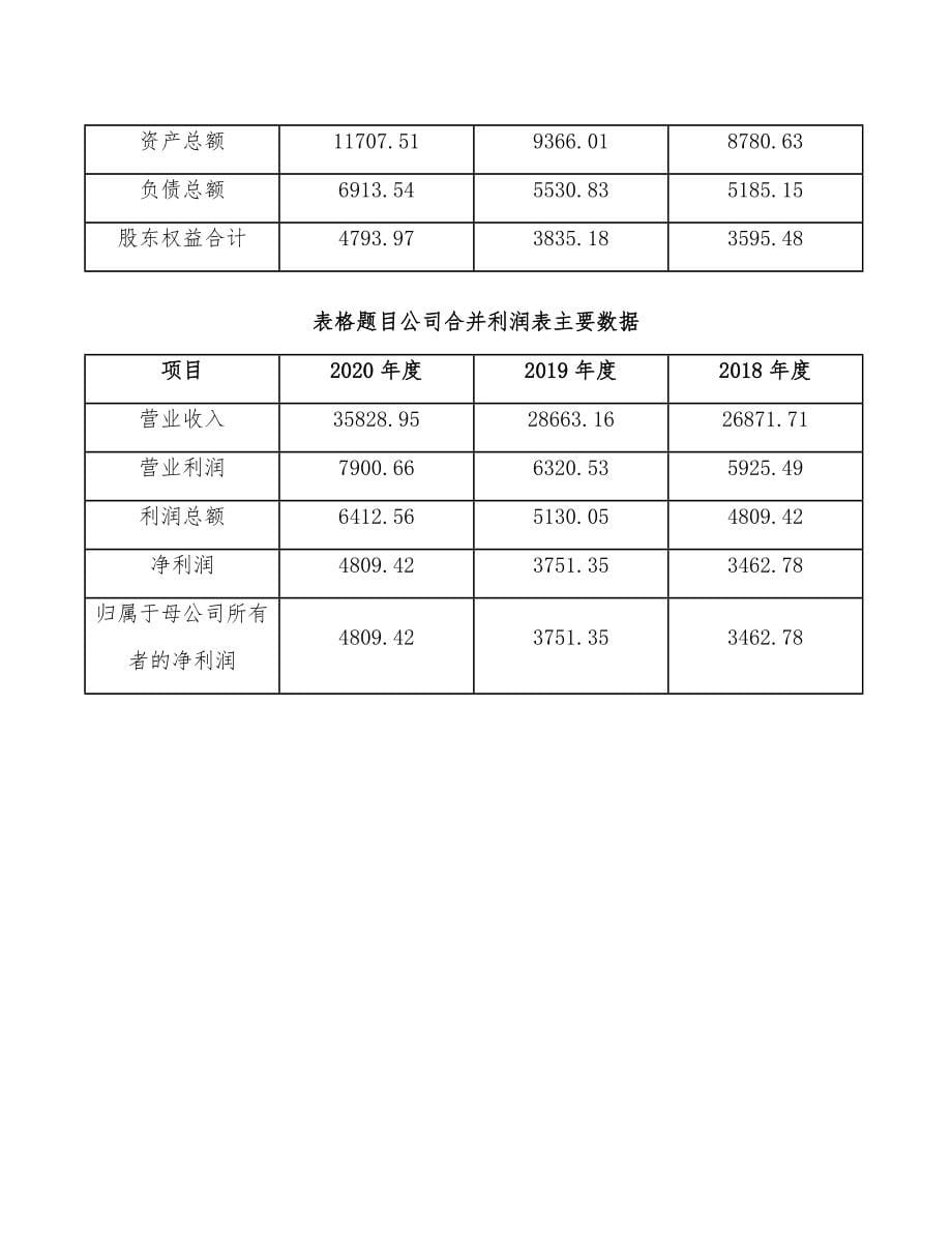 喷雾罐项目工程项目与组织管理规划_第5页