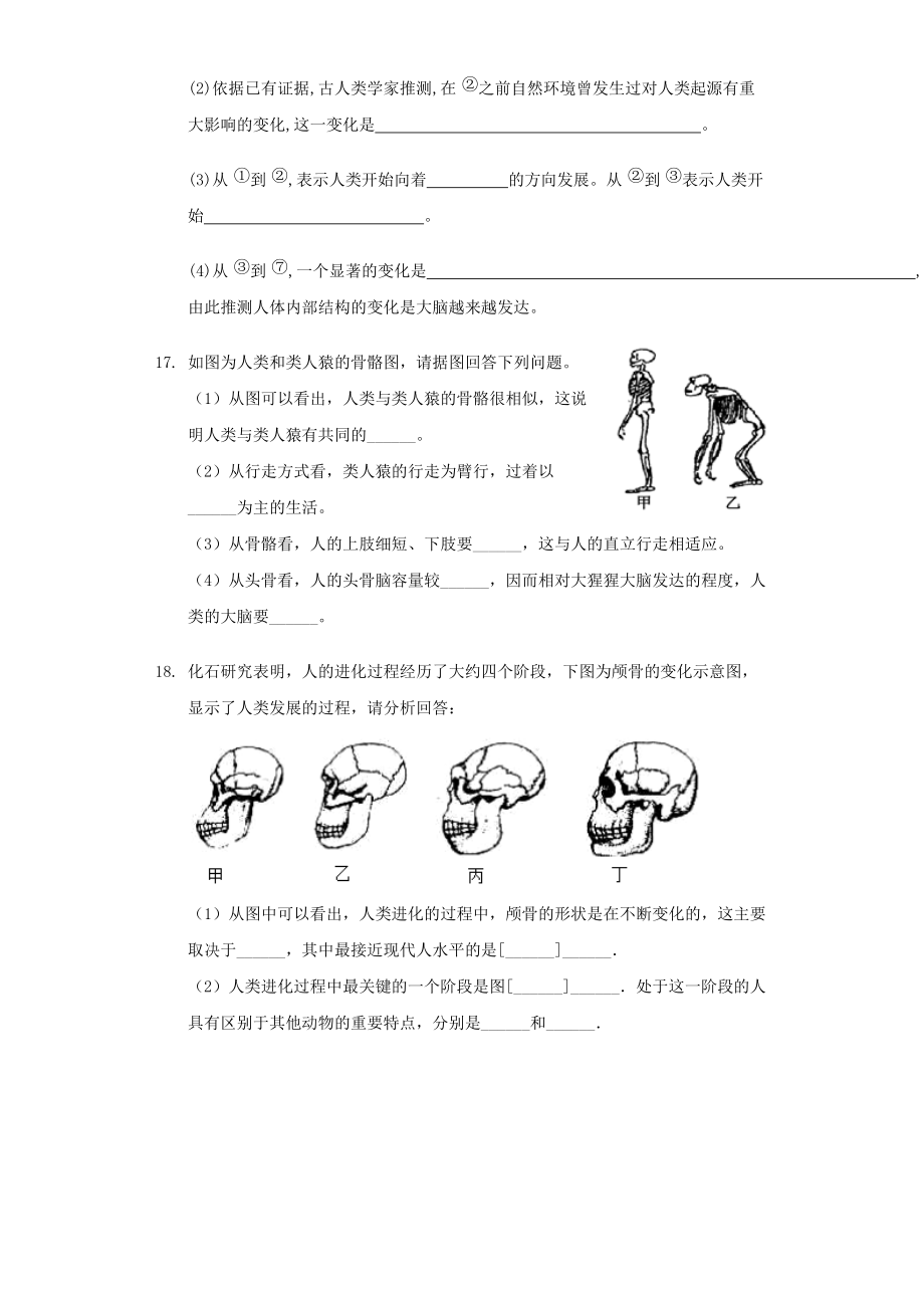 七年级生物下册4.1.1人的起源和发展习题1新版新人教版_第4页