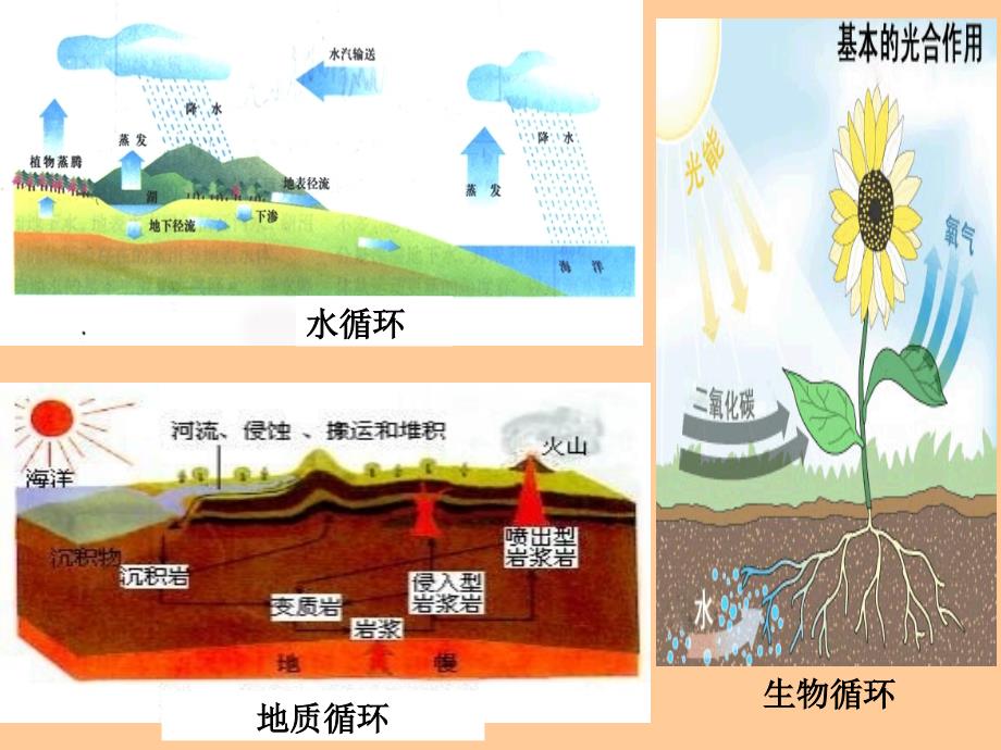 《自然地理环境的整体性》新人教版必修1修改_第4页