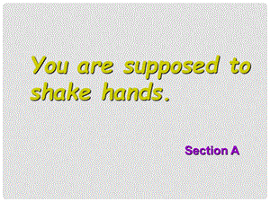 九年级英语 Unit 12 You are supposed to shake hands单元 Section A 课件人教版新目标