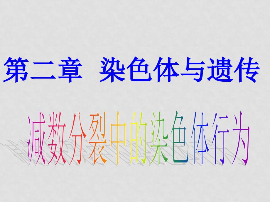 08年高中生物《减数分裂中的染色体行为》课件浙科版必修二减数分裂（修改）_第4页