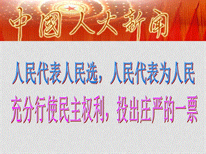 高中政治《民主选举：投出理性一票》课件新人教版必修2