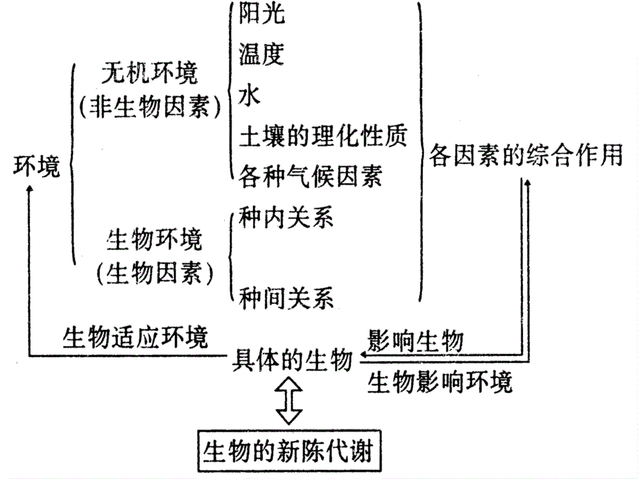 高中生物高考二轮专题复习九 生态因子对生命活动的影响课件全国通用_第2页