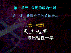 高中政治民主选举：投出理性一票课件必修2