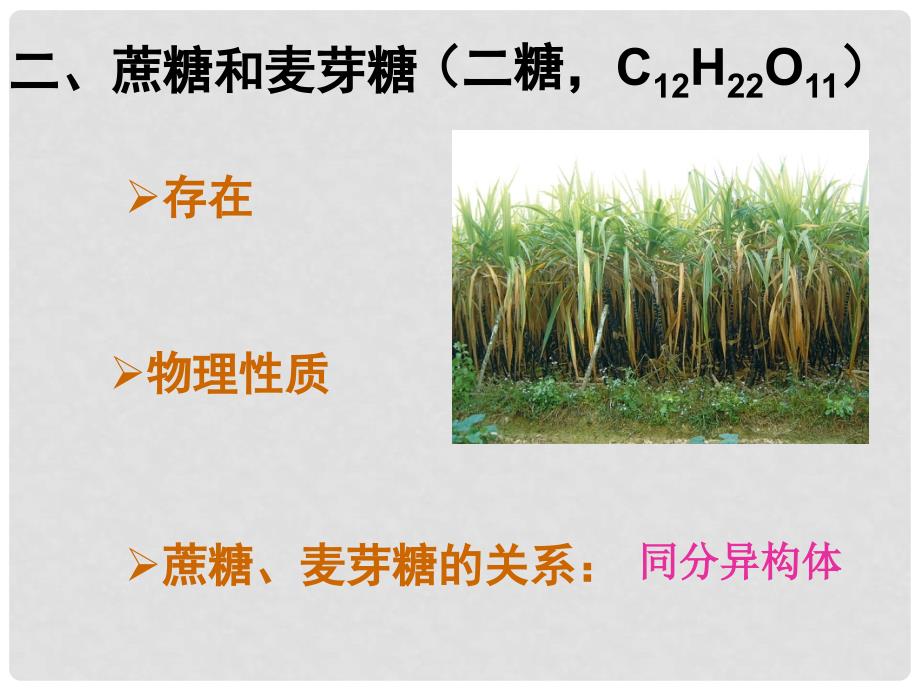 高中化学：第四章生命中的基础有机化学物质全部课件(共7套)人教版选修522糖类 二、多糖_第2页