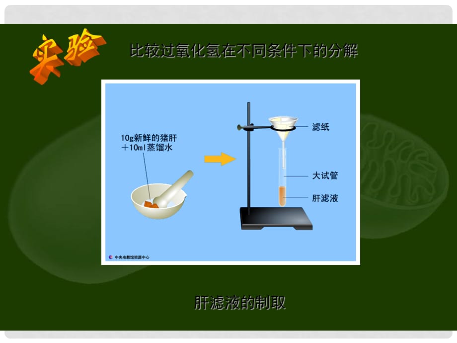 高中生物：5.1.1《酶的作用和本质》课件（4）（新人教版必修1）_第4页