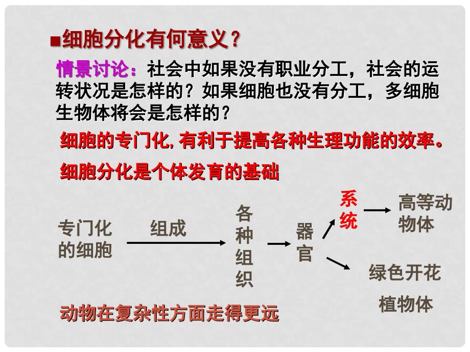 高中生物：6.2《细胞的分化》课件（3）（新人教版必修1）_第3页