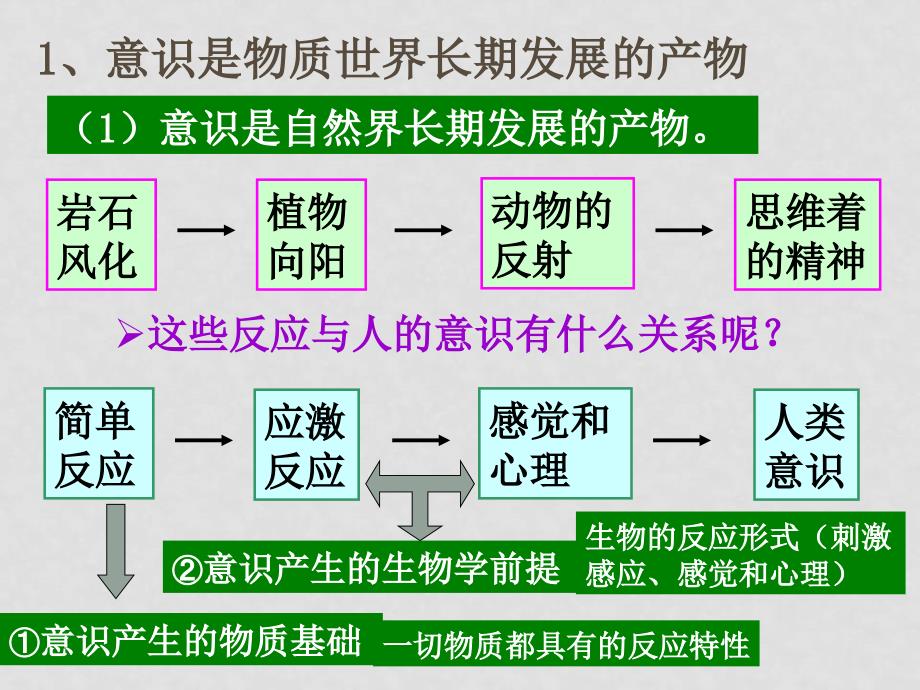 高中政治5.1意识的本质课件新人教版必修4_第4页