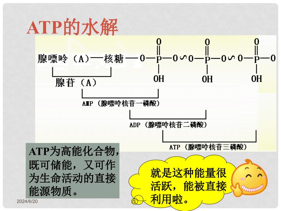 高一生物：4.1《ATP和酶》课件01苏教版必修1_第3页