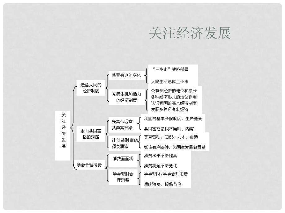 中考政治备考资料7－建设中国特色社会主义课件_第2页