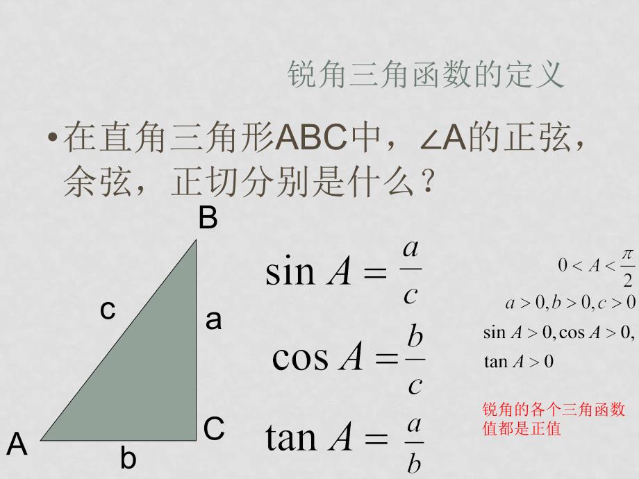 高中数学：1.2《任意角的三角函数》课件（新人教A版必修4）_第2页