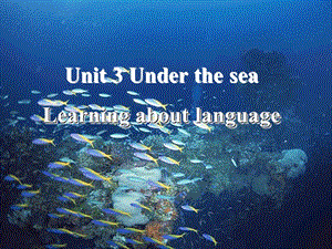 高中英语Module 7 Unit 3 Learning about language课件人教新课标选修七