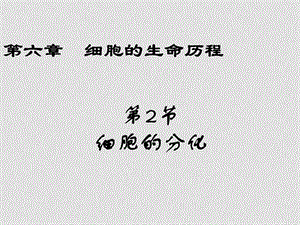 高中生物细胞的分化、衰老与癌变课件新人教版必修1