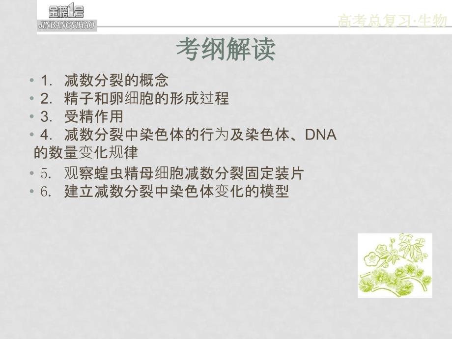 高中生物考点3.减数分裂和受精作用课件新人教版必修2_第3页