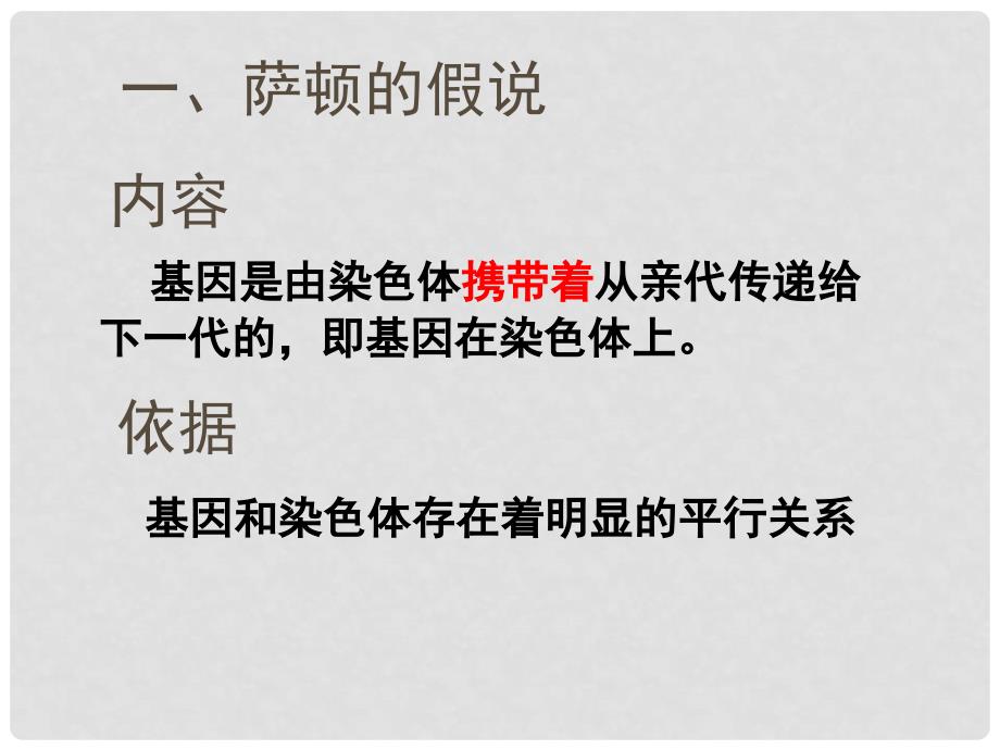 高中生物：减数分裂基因和染色体的关系课件人教版必修2_第4页