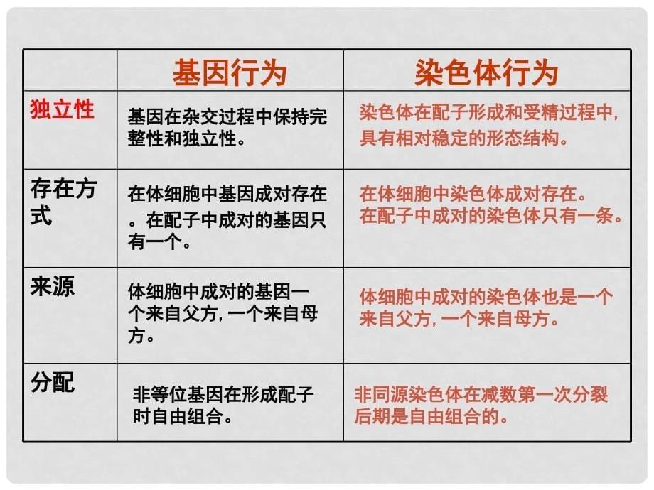 高中生物：减数分裂基因和染色体的关系课件人教版必修2_第5页