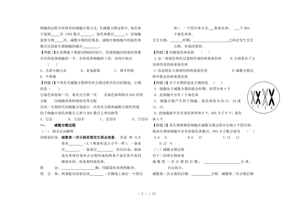 高一生物必修2第一二三章复习Word版_第3页