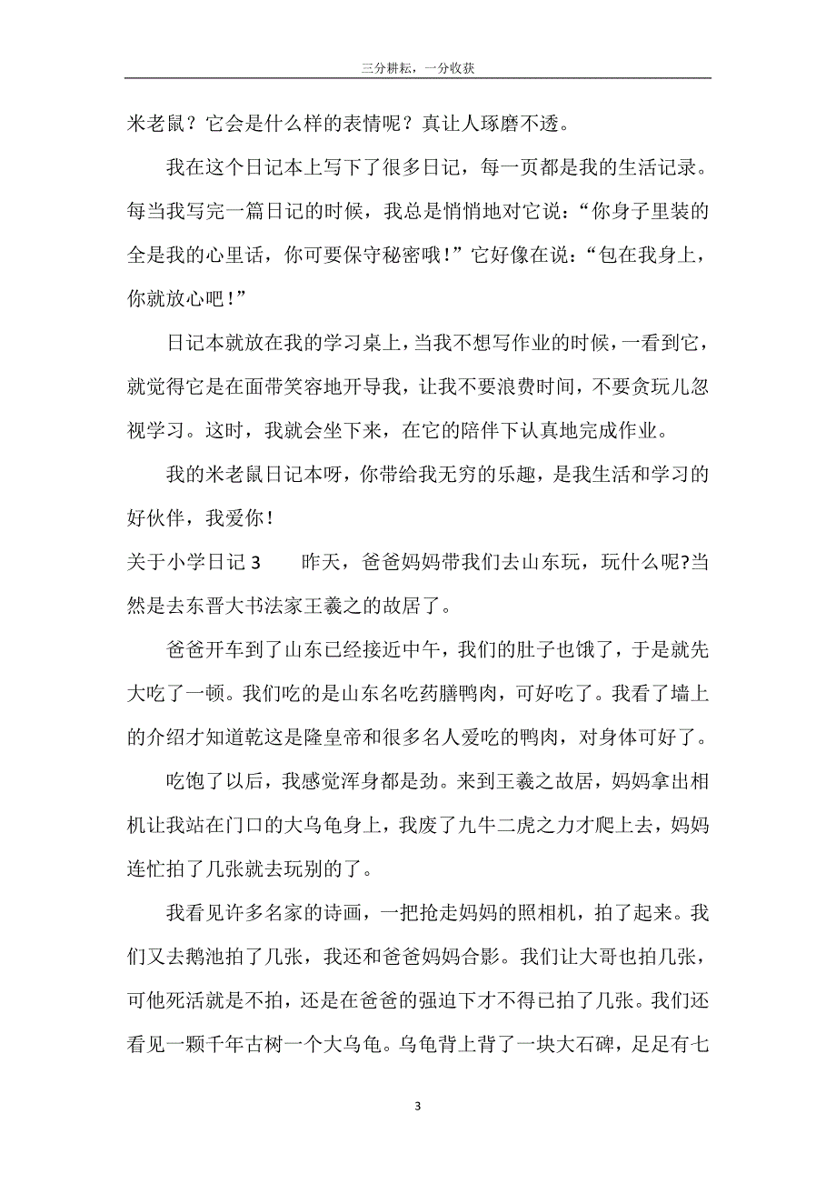 关于小学日记_第4页