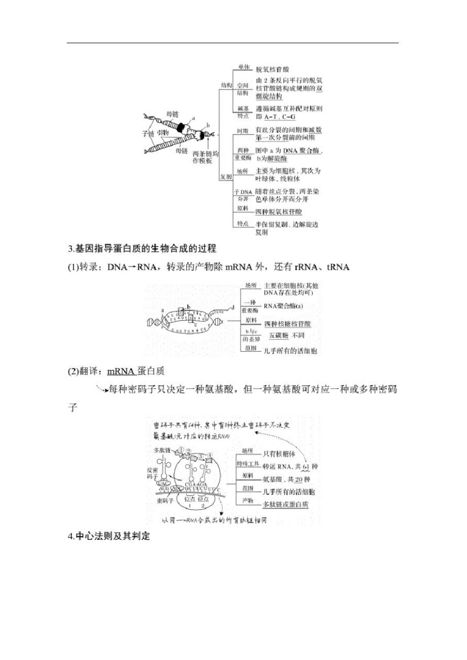 2020版高考二轮专题生物复习全国Ⅱ：专题四遗传的分子基础与其基本规律及人类遗传病_第3页