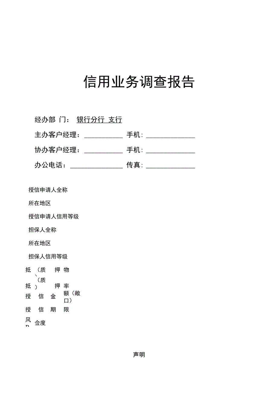 某银行调查报告格式--空白_第1页