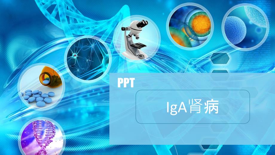 IgA肾病(教学示范PPT)_第2页