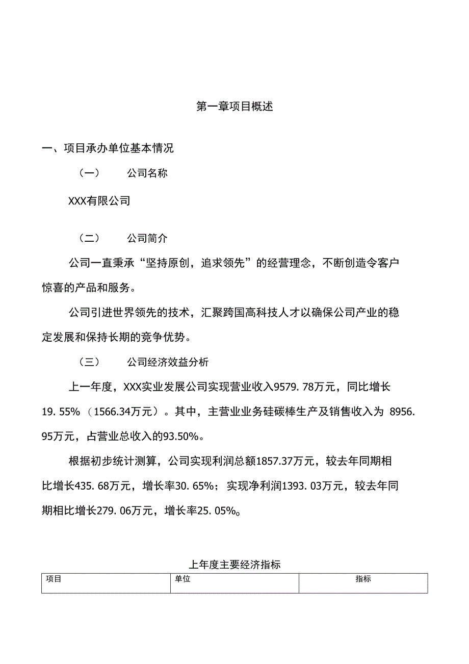 年产80吨硅碳棒项目可行性研究报告模板参考_第3页