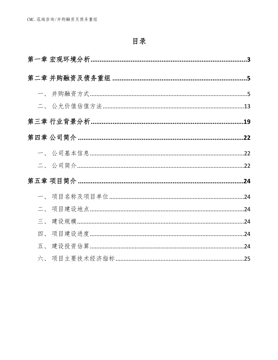 纺织洗涤公司并购融资及债务重组（参考）_第2页