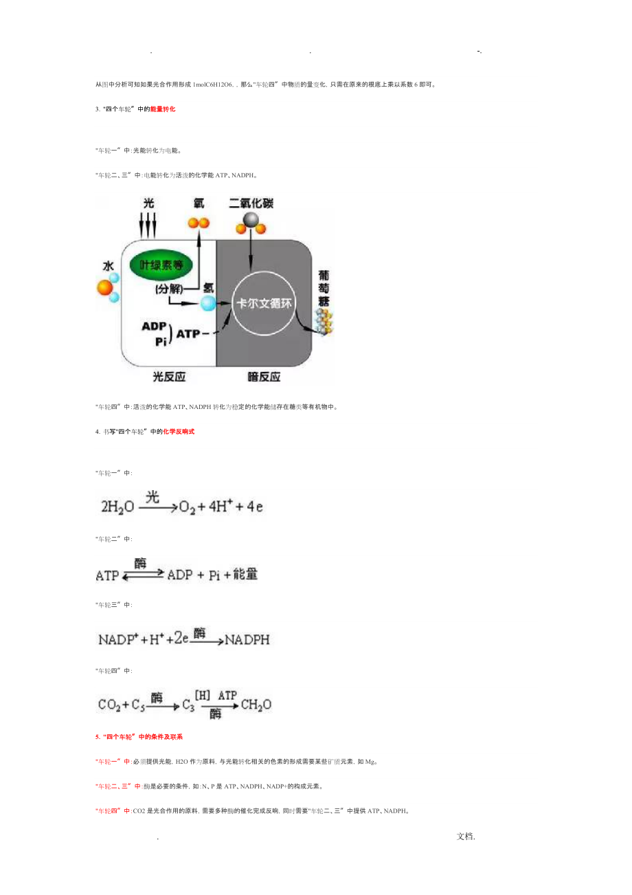 高中生物丨光合作用示意图_第2页