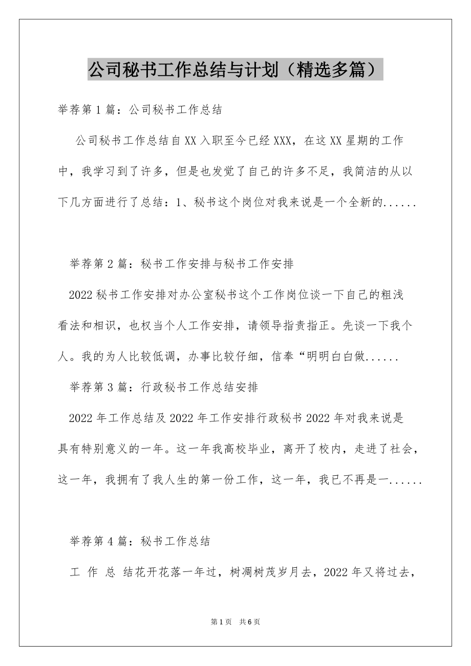 公司秘书工作总结与计划（精选多篇）_第1页