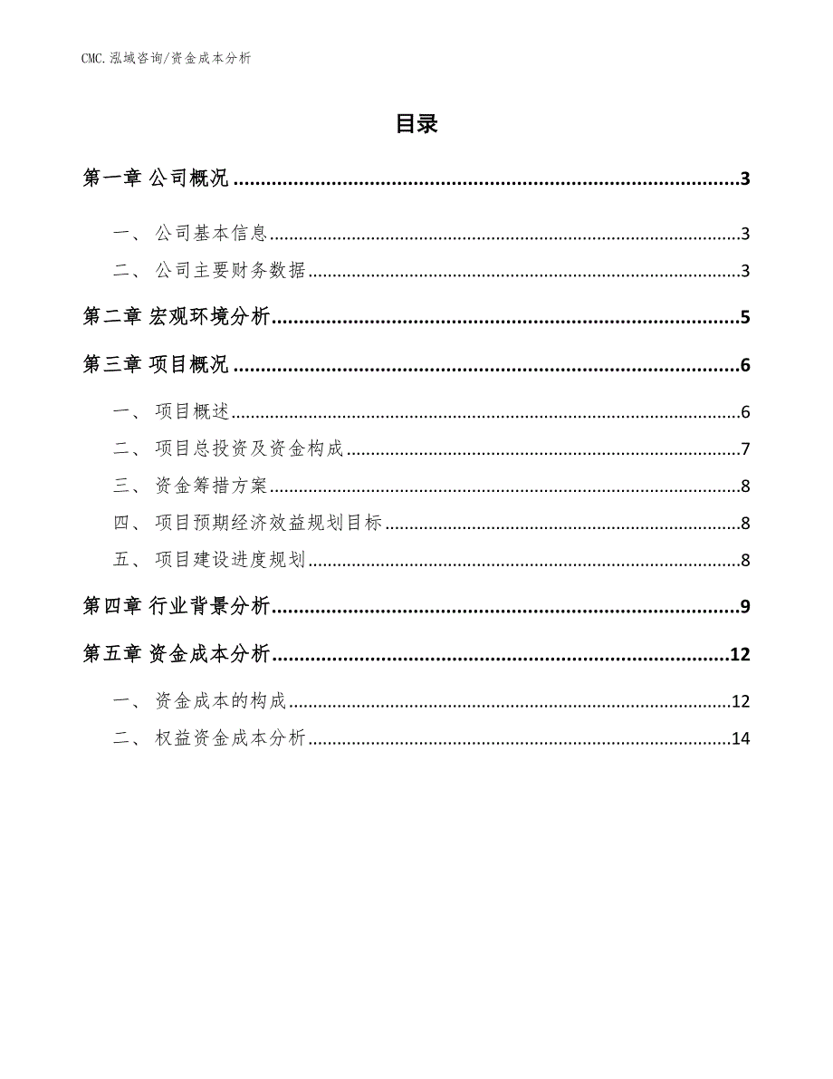 纺织洗涤公司资金成本分析（模板）_第2页