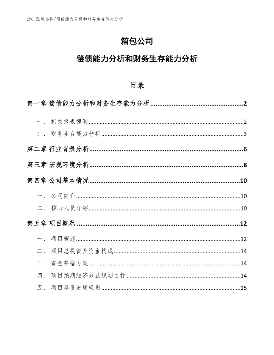 箱包公司偿债能力分析和财务生存能力分析（模板）_第1页