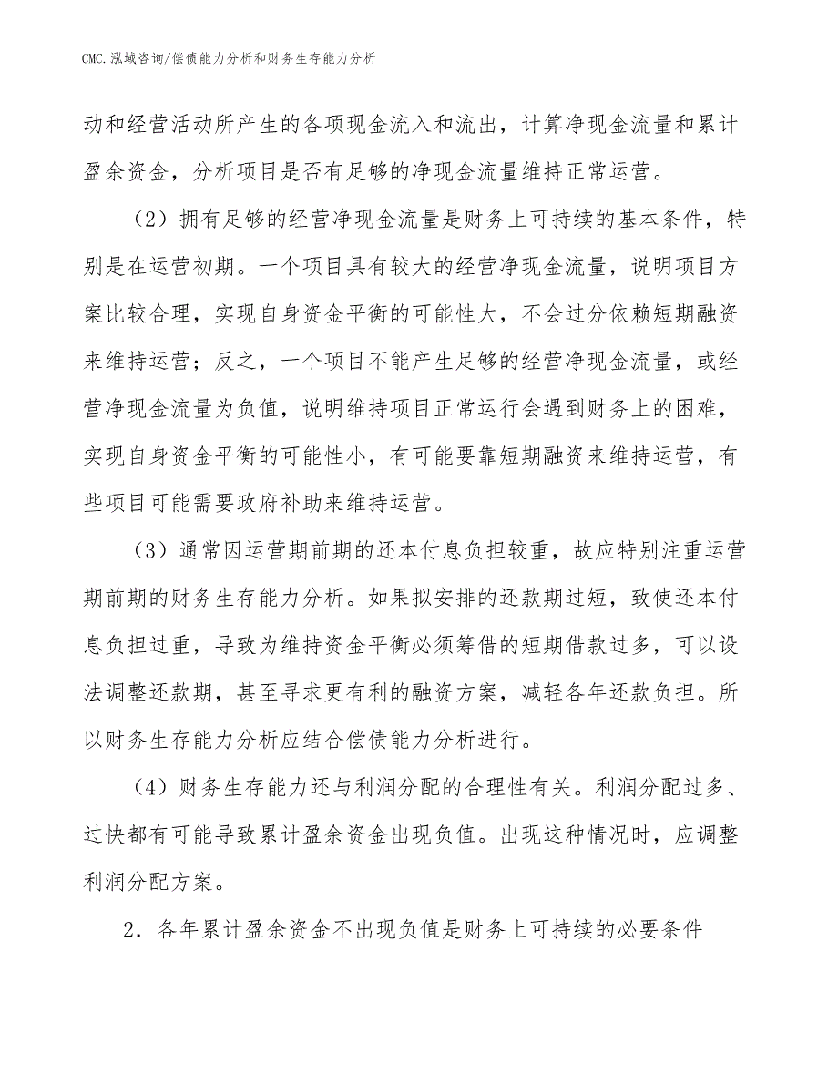 箱包公司偿债能力分析和财务生存能力分析（模板）_第4页