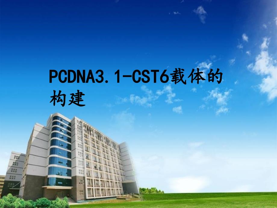 PCDNA3.1载体的构建_第1页