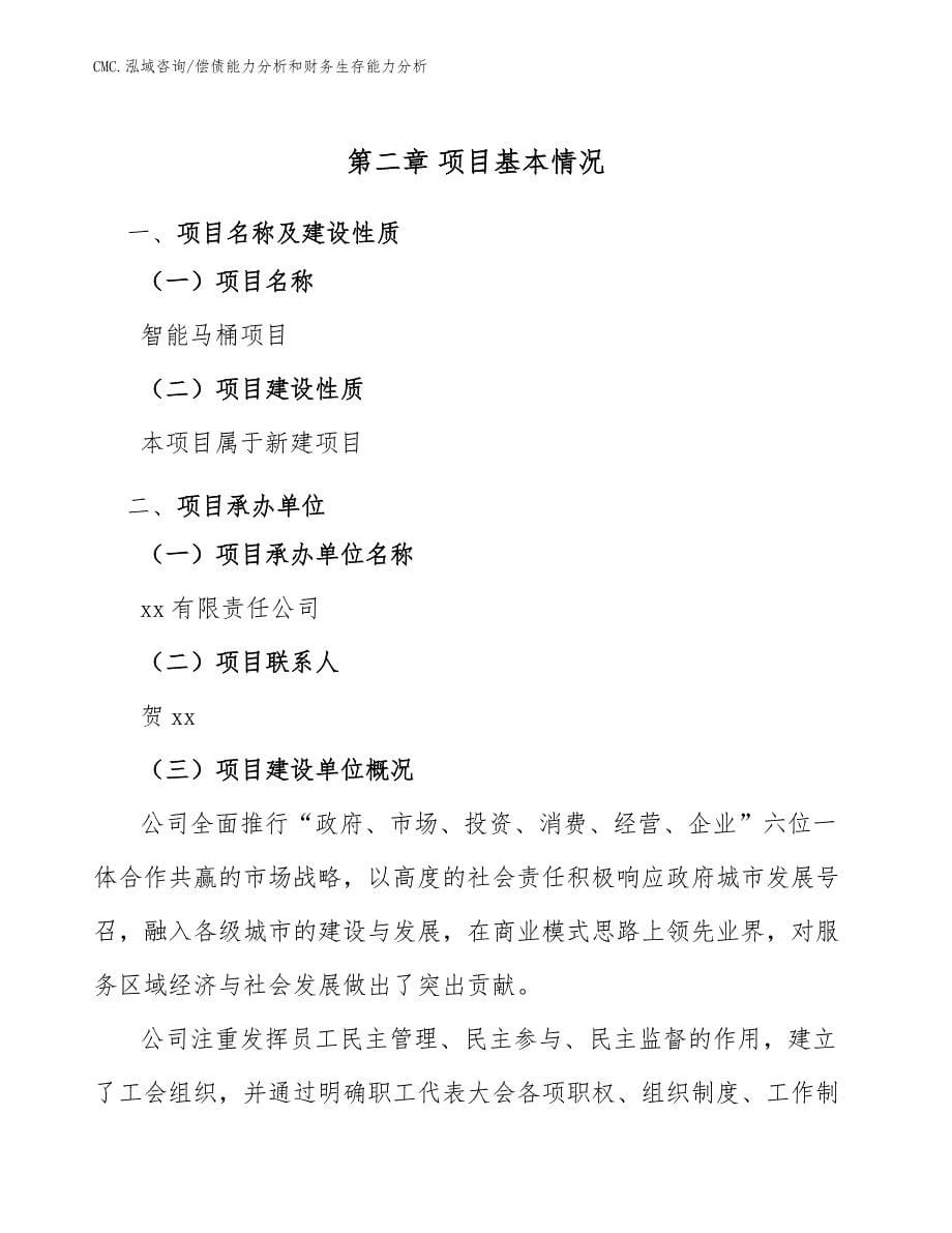 智能马桶项目偿债能力分析和财务生存能力分析（参考）_第5页