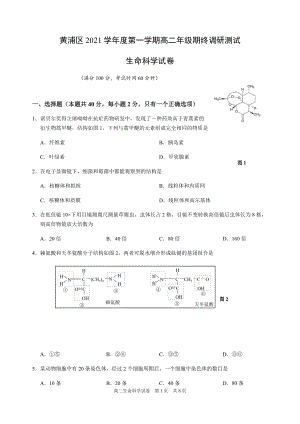 上海黄浦区2021-2022学年第一学期高三年级期终（一模）调研测试生命科学试卷