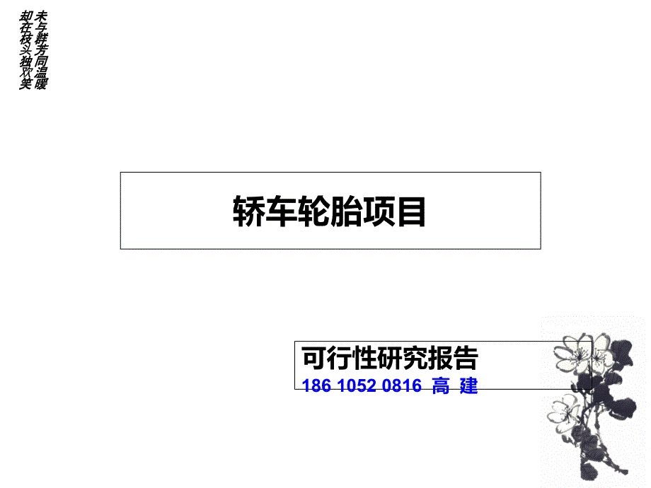 轿车轮胎项目可行研究报告2幻灯片课件_第1页