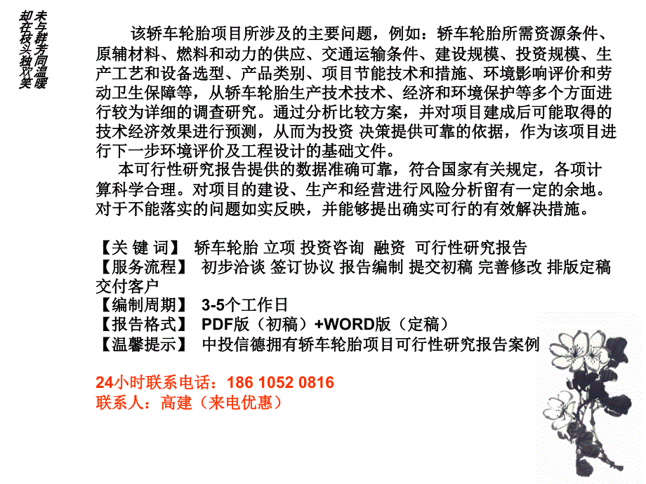 轿车轮胎项目可行研究报告2幻灯片课件_第2页