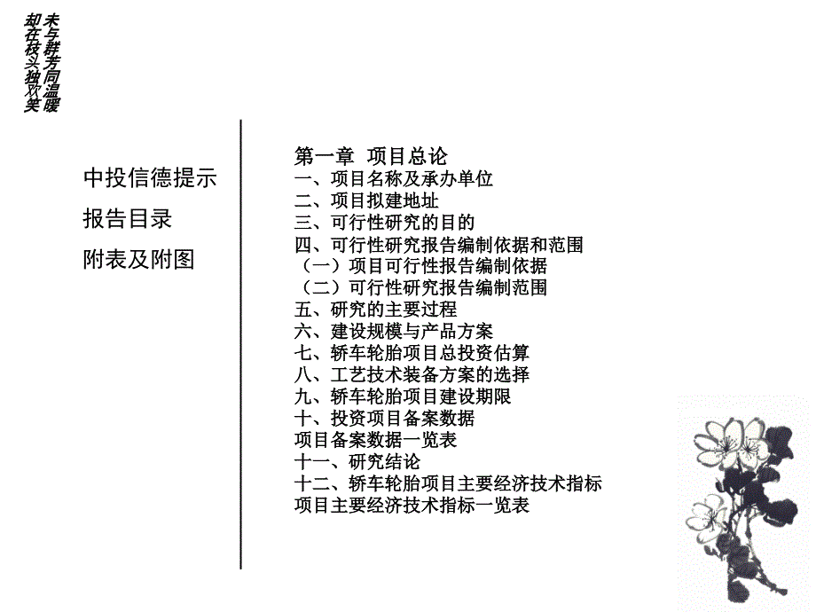 轿车轮胎项目可行研究报告2幻灯片课件_第3页