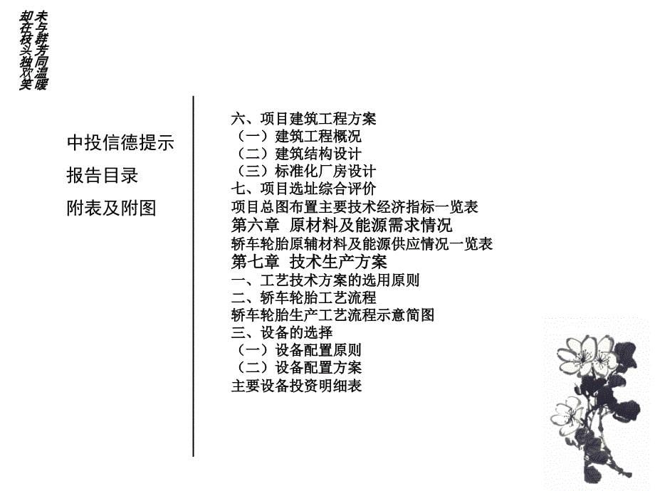 轿车轮胎项目可行研究报告2幻灯片课件_第5页