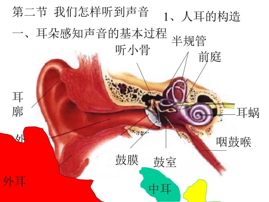 人教版八年级物理上册教学课件第二节我们怎样听到声音研究报告_第4页