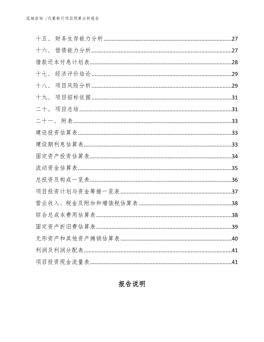 代餐粉行项目预算分析报告（范文模板）_第3页