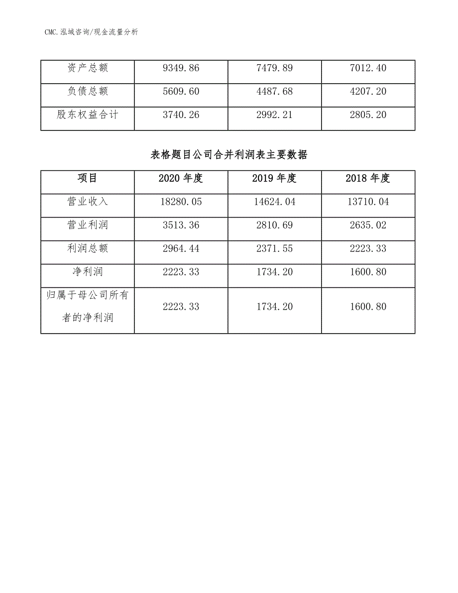 子午胎公司现金流量分析（模板）_第3页