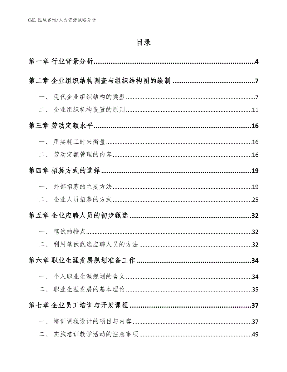 口腔健康食品公司人力资源战略分析（参考）_第2页