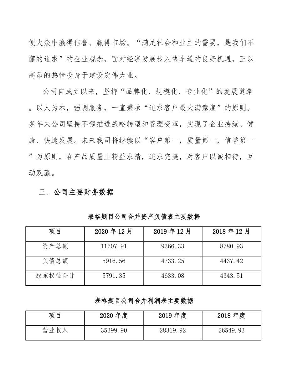 代餐粉项目团队建设方案（参考）_第5页