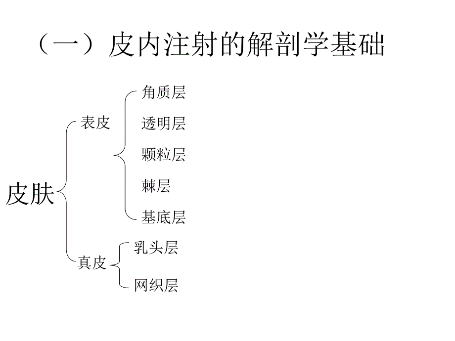 第三章各种注射技术应用解剖教学材料_第3页