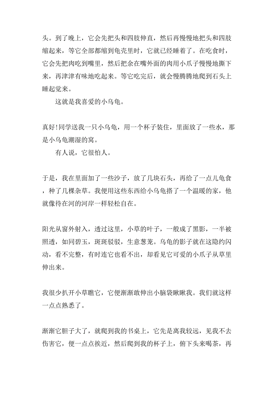 小学生写乌龟的作文400字汇总八篇_第2页